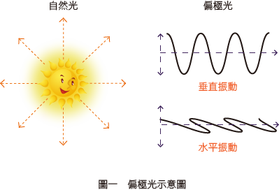 力特光電科技股份有限公司