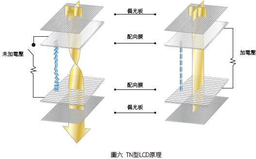 TN型LCD原理