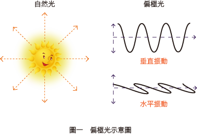 偏極光示意圖